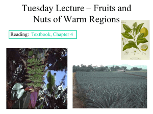 Thursday Lecture – Fruits and Nuts of Warm Regions