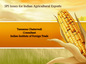 Tamanna Chaturvedi, Consultant, Indian Institute of Foreign Trade