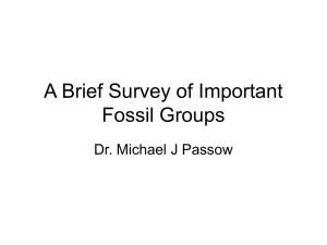 "A Brief Survey of Fossil Groups"