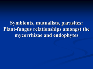 Symbionts, mutualists, parasites? Plant