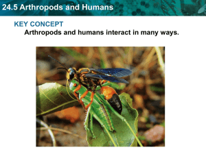 24.5 Arthropods and Humans