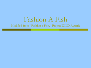 Fashion a Fish
