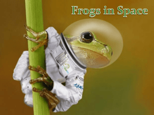 Click to Power point presentation - Frogs in space