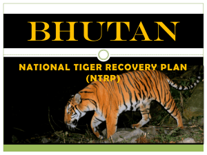- Global Tiger Initiative