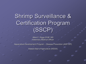 Shrimp Surveillance & Certification Program