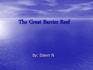 PowerPoint Presentation - The Great Barrier Reef