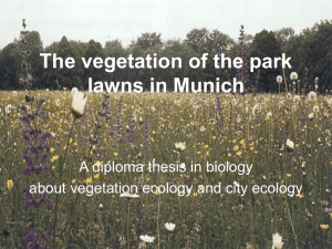 The vegetation of the park lawns of Munich