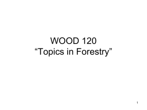 Forestry slides 2013W