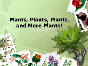 Plant Biodiversity-PPT - Arkansas State University