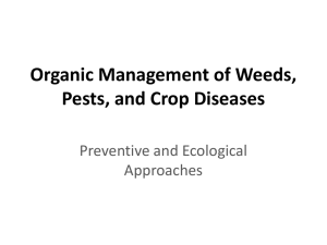 Organic Management of Weeds, Pests, and Crop Diseases