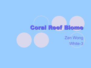 Coral Reef Biome - Lewiston School District