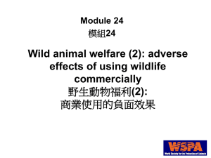 24_Wildlives(II) 野生動物