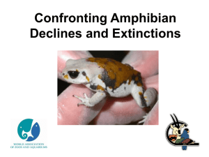 Confronting Amphibian Declines and Extinctions