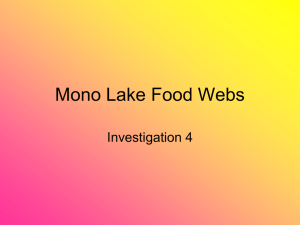 Mono Lake Food Webs - Montgomery County Schools