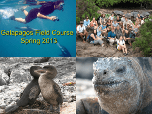 Galapagos field course - Florida Institute of Technology