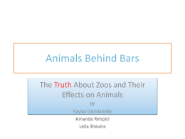 What Are the Advantages and Disadvantages of Zoos?