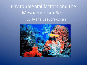 Environemental impacts on Mesoamerican reef