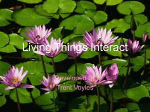 Living Things Interact