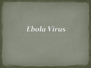 b : Description of Ebola Virus
