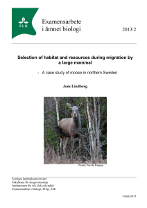 Selection of habitat and resources during migration