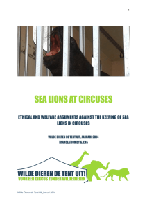 SEA LIONS AT CIRCUSES - Wilde dieren de tent uit