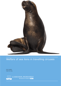 Welfare of sea lions in travelling circuses