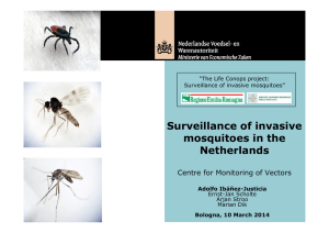 Surveillance of invasive mosquitoes in the Netherlands