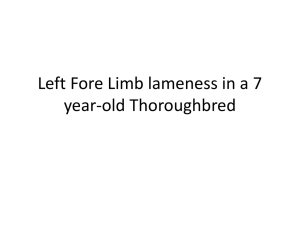 Left Fore Limb lameness in a 7 year-old Thoroughbred