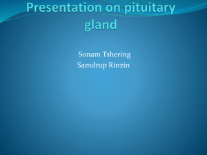 Presentation on pituitary gland