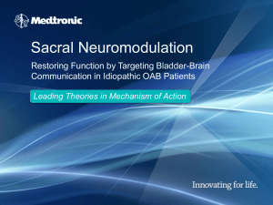 Leading Theories in Mechanism of Action