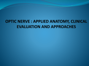 optic nerve - Aiimsnets.org