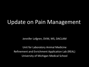 Update on Pain Management - American College of Laboratory Animal