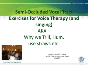 Modified presentation for Choir Leaders - exploring voice