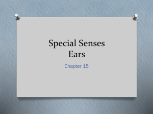 Ears Special Senses - Napa Valley College