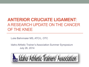 A research update on the cancer of the knee