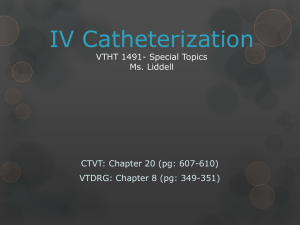 IV Catheterization
