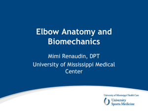 Elbow Anatomy and Biomechanics - University of Mississippi