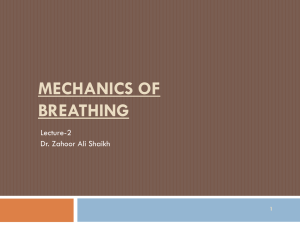 2. Mechanics Of Breathing