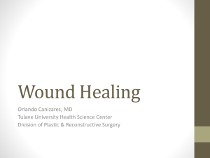 Wound Healing - Tulane University