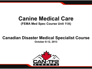 Canine Medical Care