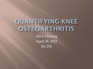 QuaNTIFYING KNEE OSTEOARTHRITIS: JOINT SPACE