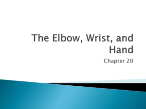 The Elbow, Wrist, and Hand