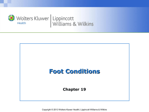Chapter 19-Foot Injuries