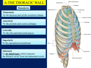 lecture 1 : the thorax - JU Med: Class of 2019