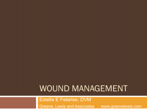 Wound Management - Greene, Lewis & Associates