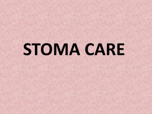 STOMA CARE-Advance nursing practice ppt