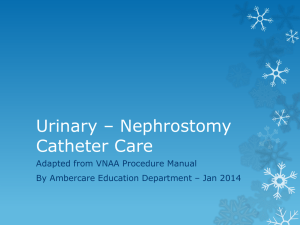 Size: 215 kB 25th Aug 2014 Urinary Nephrostomy Catheter Care