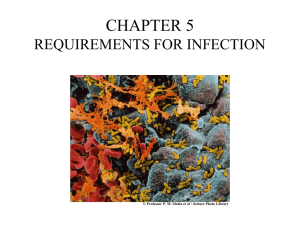 CHAPTER 5 REQUIREMENTS FOR INFECTION