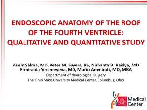 Endoscopic Anatomy of the roof of the fourth