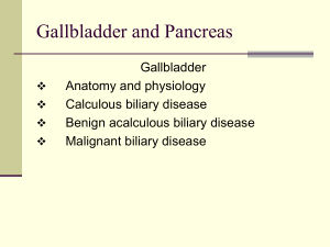 Student lecture Gallbladder and Pancreas